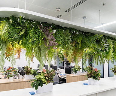 Ceiling Decor Artificial Fern Hanging Greenery, Natural Matching Shapes