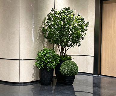Indoor & Outdoor Potted Artificial Plants, Fake Pieris Japonica Large Tree & Schefflera Potted Shrub Ball