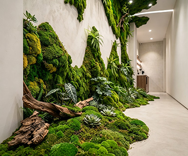 Decorative Interior Plant Wall Scene Arrangement Artificial Perpetual Moss Wall