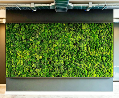 Decorative Interior Plant Wall Scene Arrangement Artificial Perpetual Moss Wall
