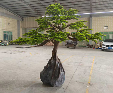 Large Artificial Fiberglass Guest-Greeting Pine Tree for Indoor & Outdoor Decoration